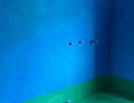 新田卫生间测漏水多少钱